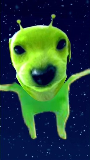 alien dog