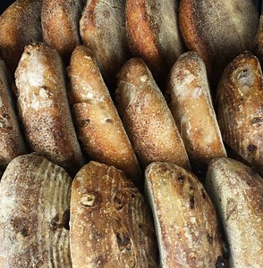 Intraweb 14 0 23 Crackle