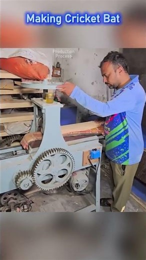 How a Cricket Bat Is Made | From Raw Wood to Ready Bat