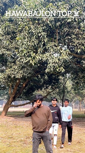 hawabaji on top 🤣#trending #funny #shorts #ytshorts #youtube