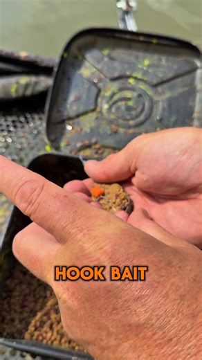 91K views · 734 reactions | HOW TO LOAD A HYBRID FEEDER LIKE STEVE RINGER, IN UNDER 60 SECONDS ⏰✅ | Tackle Guru | Facebook