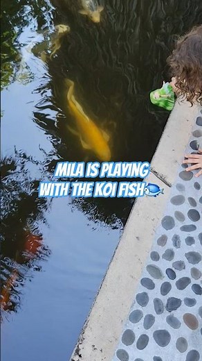Mila is Playing with Koi Fish at the Batanical Garden in Miami #koifish #miami #miamibeach #fun