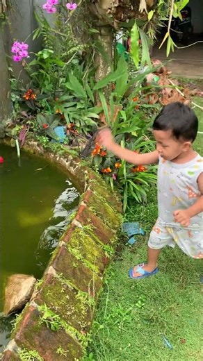 Playing cebar plunging into the pool #funny #cute #cutebaby