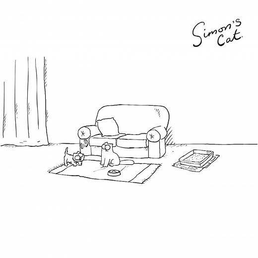 The struggle of having more than one cat! 🐱 🙄 🐱 How many cats do you have? | Simon's Cat