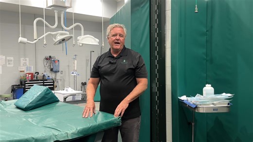 Colic is the #1 cause of death in horses. The decision to pursue surgery often comes down to cost, but Tennessee Equine Hospital’s Promise Program removes that burden. With your enrollment, you protect your horse while helping our team ensure no family has to face that decision alone. For 15 years, the Promise Program at Tennessee Equine Hospital has been saving horses’ lives. More than 75 horses have received life-saving colic surgery through this program, and today, over 1,000 horses are enrol