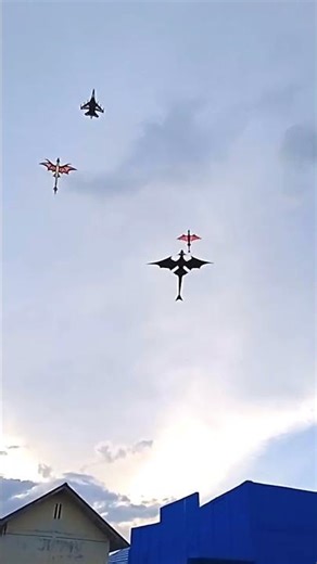 3 dragon kites 1 fighter jet kite #kites #airplane #kitten