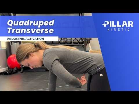 Quadruped Transverse Abdominis Activation (Deep Core Control)
