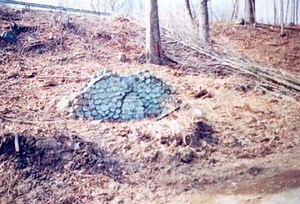 Honoring Those Who Made The Supreme Sacrifice