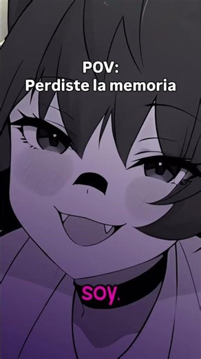 RAKKUN ES NORTEÑA 🤠