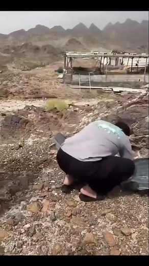 330K views · 10K reactions |  . . . . . . #reels #memes #funny #reelsinstagram #oman #arabic | Halal Arabic Memes - Abduuu Vlogs | Facebook