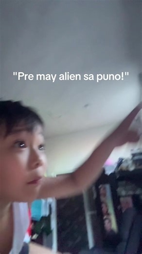 Mango Tree Surprises with Alien Song