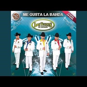 El Papá De Los Pollitos (Versión Banda Sinaloense)