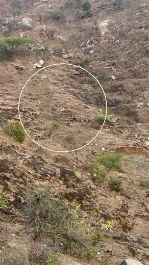 real ghost video recording #ghostphotoshoot #ghost #ghostmode #ghsothunting