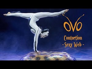 OVO【2013】- Contortion Act