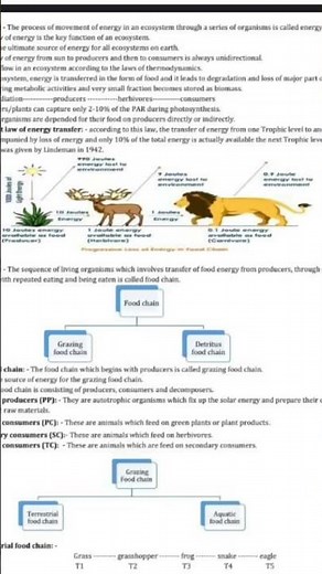 class 10th CBSE science chapter 13 our environment kaa notes 🥰