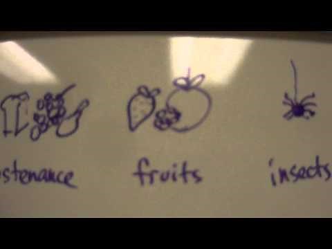 Thanksgiving Address, Mohawk language