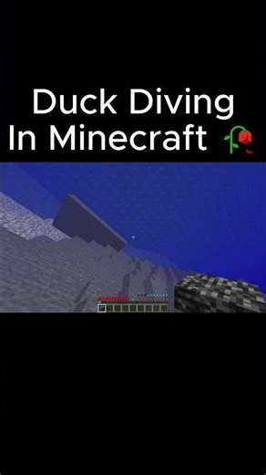 POV: Duck Diving In Minecraft #minecraft #memes