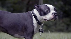 Watch Trackers Season 1 Episode 2 - Finding Hope