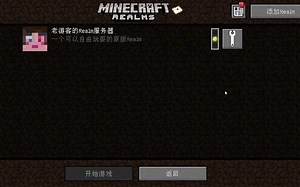 Java服务器招新 Realms 领域服