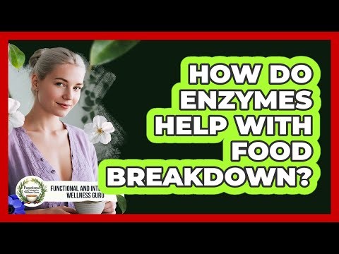 How Do Enzymes Help With Food Breakdown?