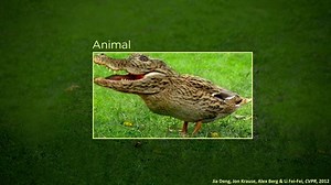 How Humans Are Teaching Computers To See and Understand Photos