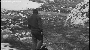 Django Django (2021)