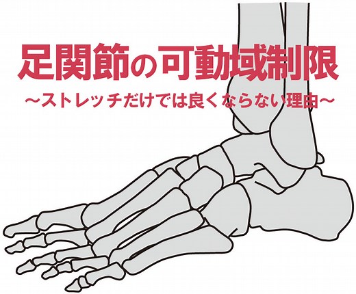 足関節可動域制限は？背屈と底屈の制限因子と評価ポイント！ストレッチだけではよくならない？ | RehaRock〜リハロック〜