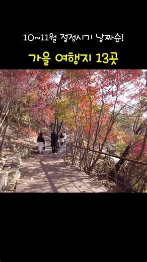 실패 없는 가을 단풍 여행! 9월부터 11월까지 절정 시기순으로 총정리한 13곳 🍁 #가을여행 #가을가볼만한곳 #단풍명소 #국내여행 #단풍여행 #shorts