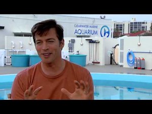 Dolphin Tale 2: Harry Connick, Jr. "Dr. Clay Haskett" Behind the Scenes Movie Interview 1|ScreenSlam