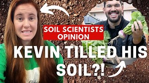 Till vs. No-Till Gardening: Which is Better for Your Soil? - Simplify Gardening