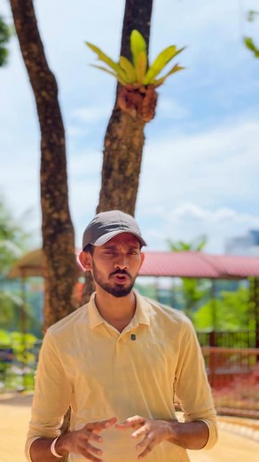 59K views · 1.4K reactions | ලියාපදිංචි වීමට 076 1000 877 whatsapp...