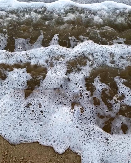 Turns out the top places to visit in the world are closer than you think! Towns of the Outer Banks offer natural beauty, historical charm, outdoor adventures, numerous culinary delights, and a sense of community that is hard to find elsewhere. We can't wait to see you all on the OBX! | Visit The Outer Banks