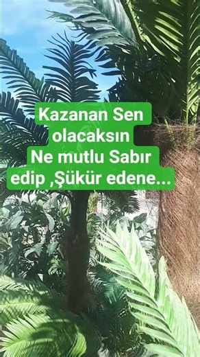 Kazanan Sen olacaksın( Abone olmayı, yorum yapmayı, Beğenmeyi Unutmayalım).
