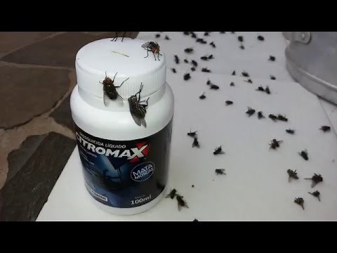 Mosquicida Fulminante Inseticida Veneno Mata Moscas Varejeira Elimina todas moscas e Insetos
