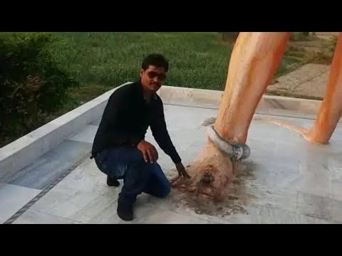 सवाल ही पैदा नहीं होता हार मानने का, अभी तो बहुत लोगों की घमंड तोड़ना है...!!💕🌹💕👍💯