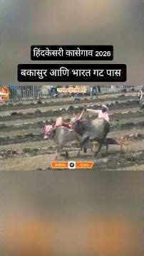 बकासुर आणि भारत 👑 #बकासुर #bailgadasharyat #trendig #vairalvideo