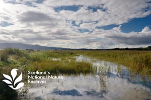 Caerlaverock National Nature Reserve