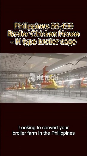 Philippines 86,400 Broiler Chicken House – Fully Automated with RETECH H-Type Chain Cages #chicken
