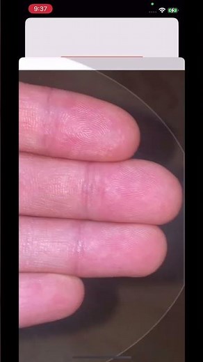 Cutting-Edge Biometrics: Touchless Fingerprint Recognition for Mobile Devices