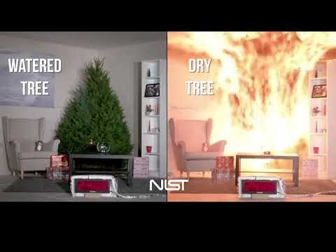 Christmas Tree Fire Safety