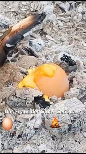Das Ei aus der Glut! 🥚🔥 Geht das?