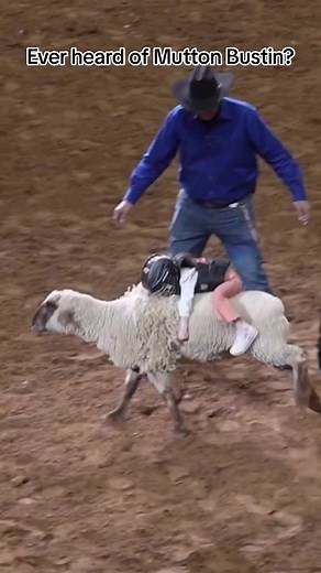 Mutton Busting #crazy #amazing #fyp #themoreyouknow #hilarious #funny | Apex Predator Outfitters