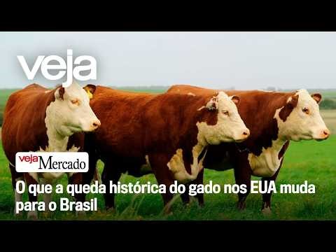 What does the historic drop in cattle prices in the US mean for Brazil?
