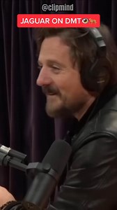 JAGUAR TRIPPING IN THE JUNGLE #jaguar #jre #conspiracy #jreclips #amazon #brasil #joerogan #funny #rainforestfacts #brazil #mystery #joeroganpodcast #animals | SundayReel