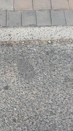 Dc:@Fanas🫦 @Zinedine Thabang🇫🇷🔥 #runnelshongwe #fyp #mzansicomedy #mzansitiktok #challenge #cheese #amapiano #dance