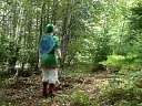 The Legend of Zelda Parody 2: Stuck in The Lost Woods