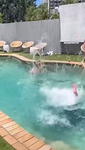 17 reactions | Gold Coast is always a popular spot for your Mad...