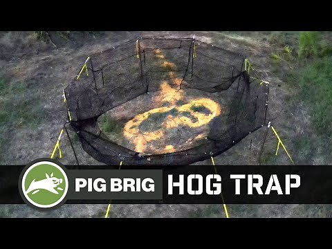 New Hog Trap Design for Feral Hogs | Pig Brig