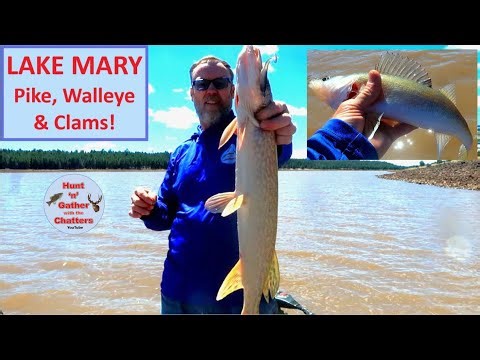 LAKE MARY FISHING -Pike,Walleye,Clams! Best Way To Catch Fish At Lake Mary - 25+ Fish -Flagstaff, AZ
