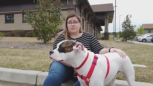 Abused dog now adopted by loving family